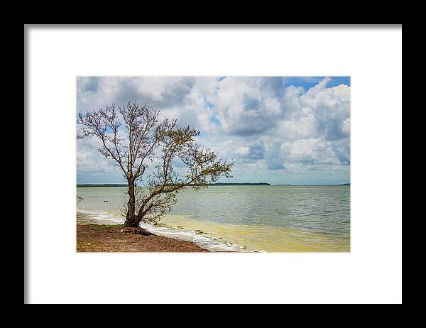 Everglades Framed Print featuring the photograph Florida Bay 6961 by Rudy Umans