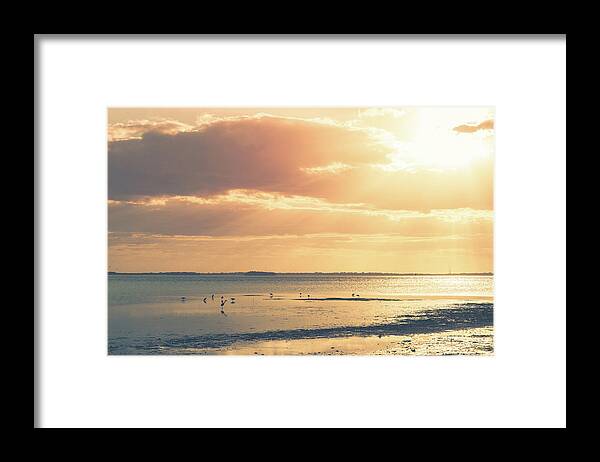 Beach Framed Print featuring the photograph Florida Beach Sunset by Joe Leone