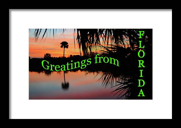 Florida Postcard Framed Print featuring the photograph Florida everglades greatings card by David Lee Thompson