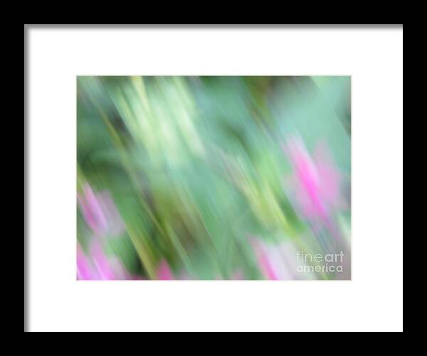 Abstractism Framed Print featuring the photograph Flower Abstract by World Reflections By Sharon