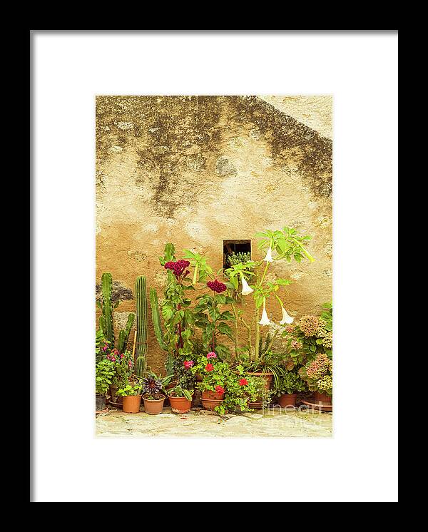 https://render.fineartamerica.com/images/rendered/default/framed-print/images/artworkimages/medium/3/flower-and-plant-pot-garden-tuscany-italy-neale-and-judith-clark.jpg?imgWI=7&imgHI=10&sku=CRQ13&mat1=PM918&mat2=&t=2&b=2&l=2&r=2&off=0.5&frameW=0.875