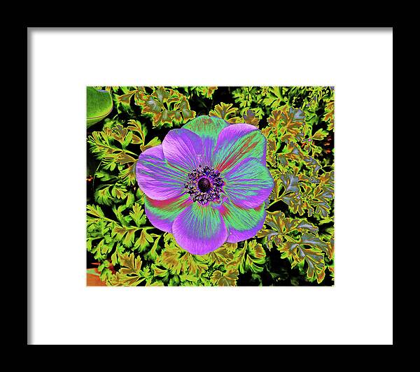 Flowers Framed Print featuring the photograph Flower Art Deco by Andrew Lawrence