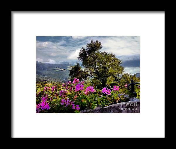 Umbria Framed Print featuring the photograph Flower Box Over Umbria by Sea Change Vibes