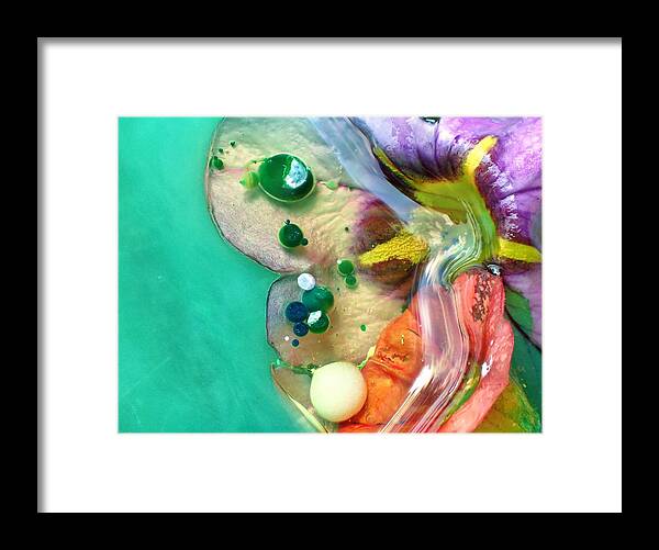  Framed Print featuring the photograph Flower by Lorella Schoales