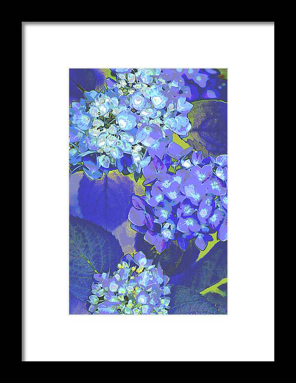 Flower Power Framed Print featuring the photograph Flower Power by Suzanne Powers