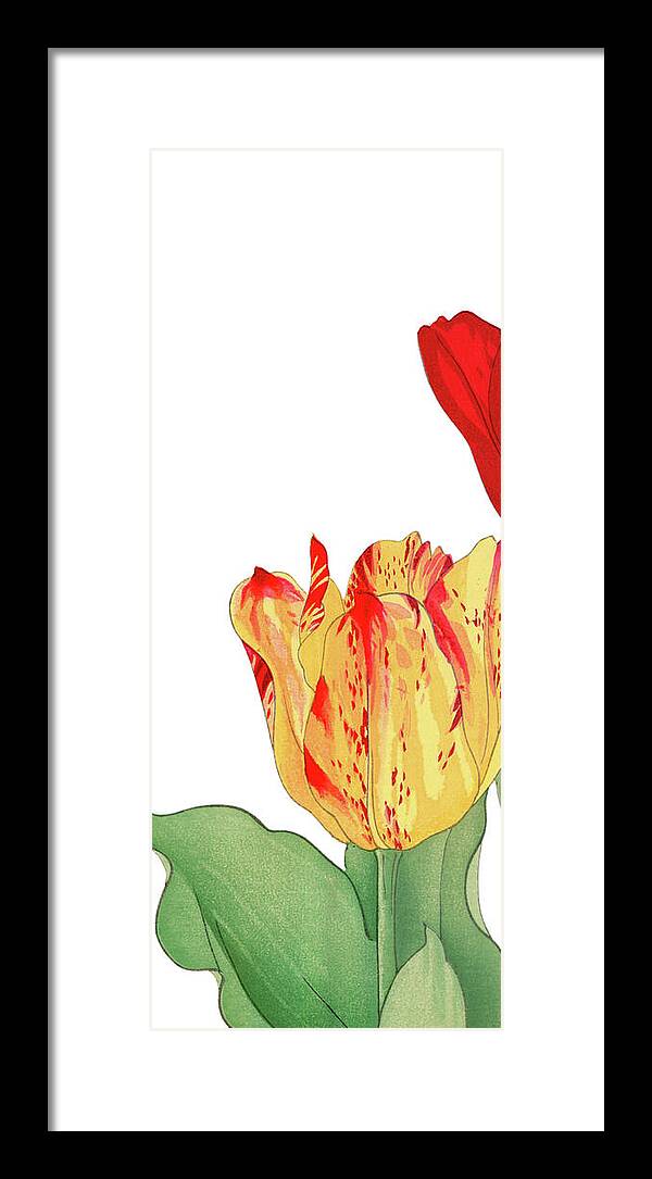 Flower Framed Print featuring the painting Flowers #2 by David Wilkins