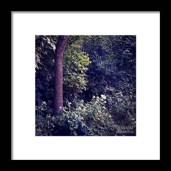 Wild Hemlock Framed Print featuring the photograph Flowers Along The Trail - Heat Effect by Frank J Casella