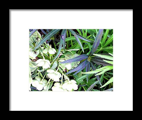 Flowers Framed Print featuring the digital art Flowers and Foliage by Nancy Olivia Hoffmann