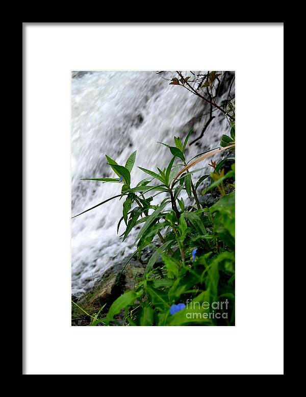 Waterfall Photography Framed Print featuring the photograph Flowers by the Waterfall by Expressions By Stephanie
