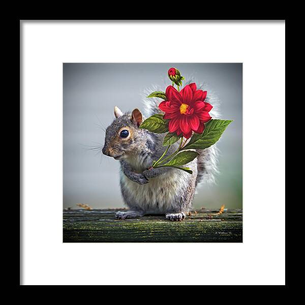 2d Framed Print featuring the photograph Flowers For You by Brian Wallace