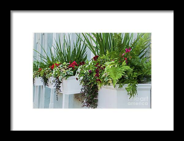 Charleston Framed Print featuring the photograph Flowers in Charleston by Sturgeon Photography
