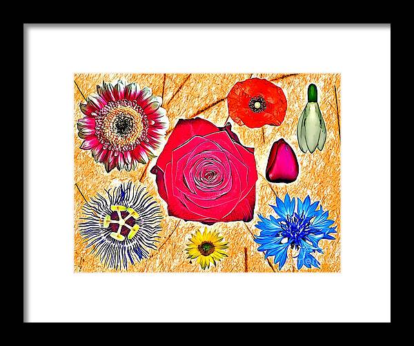 Flowers World Framed Print featuring the mixed media Flowers World by Daniel Janda