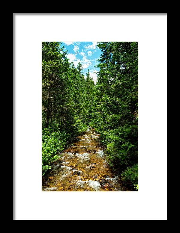 Stream Framed Print featuring the photograph Flowing Stream by Pamela Dunn-Parrish