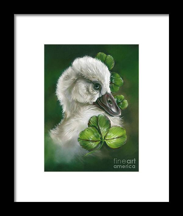 Bird Framed Print featuring the painting Fluffy Cygnet Hatchling Swan in Clover by MM Anderson
