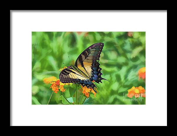 Butterfly Framed Print featuring the photograph Flutterby in the Springtime by Blaine Owens
