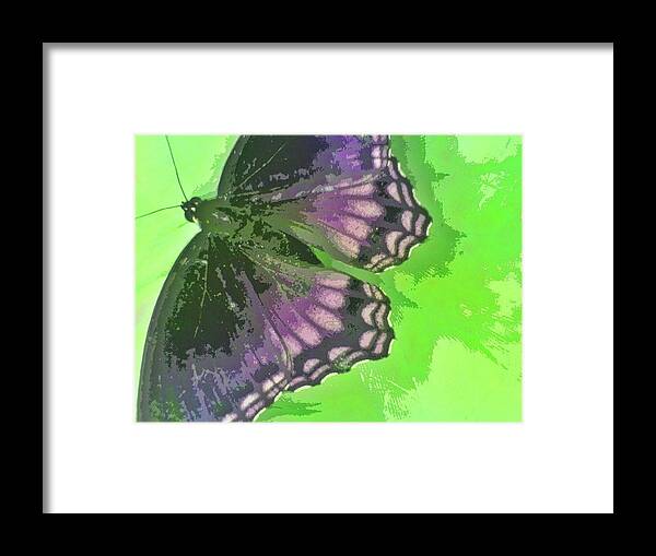 Butterfly Framed Print featuring the photograph Fly When Ready by Andy Rhodes
