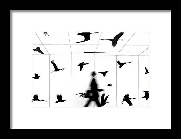 Yancho Sabev Photography Framed Print featuring the photograph Fly With Us #1 by Yancho Sabev Art