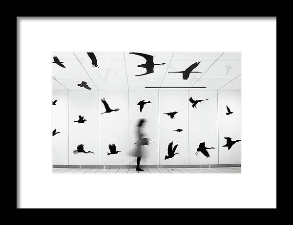 Yancho Sabev Photography Framed Print featuring the photograph Fly With Us #3 by Yancho Sabev Art