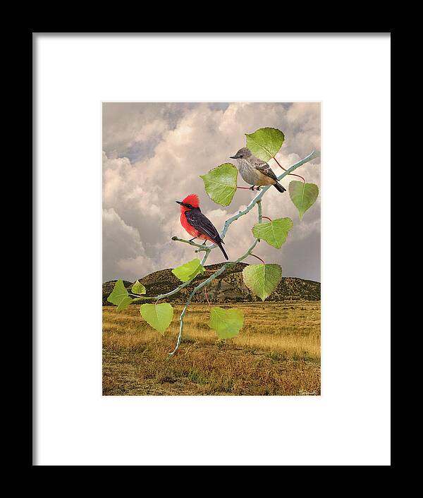 Birds Framed Print featuring the digital art Flycatchers and Cottonwood by M Spadecaller