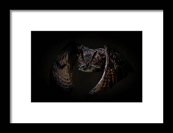 Flying Framed Print featuring the digital art Flying European eagle owl by Marjolein Van Middelkoop