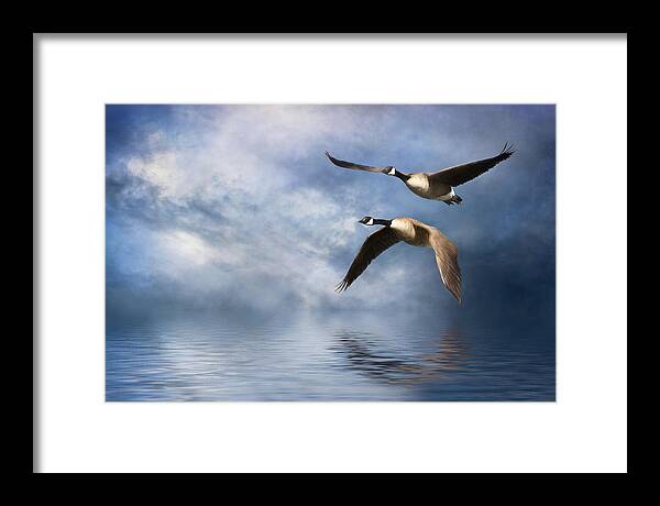 Geese Framed Print featuring the digital art Flying Home by Nicole Wilde