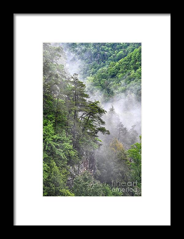 Fall Creek Falls Framed Print featuring the photograph Fog In Valley 2 by Phil Perkins