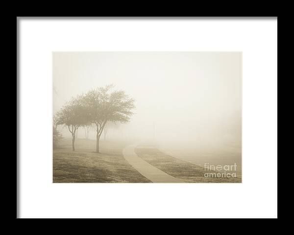 Nature Framed Print featuring the photograph Fog by Rafia Malik