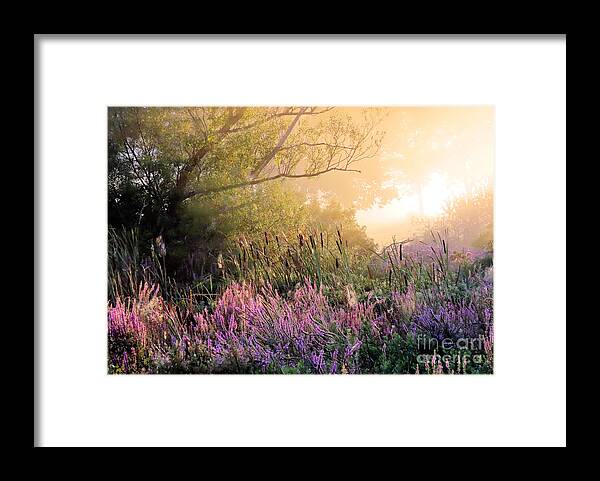 Fog Framed Print featuring the photograph Foggy August in the marshes by Janice Drew