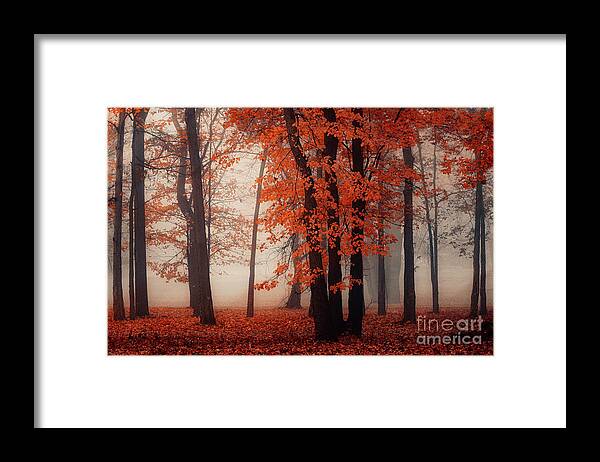 Autumn Framed Print featuring the photograph Foggy Autumn Woodland FC10714 by Mark Graf