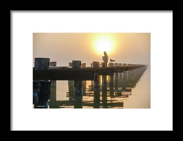 Pelican Framed Print featuring the photograph Foggy Coastline by Christopher Rice