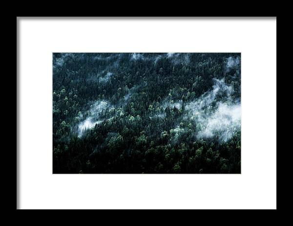 Fog Framed Print featuring the photograph Foggy Forest Mountain by Nicklas Gustafsson