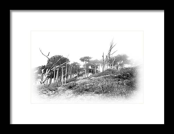 Land's End Framed Print featuring the photograph Foggy Morning At Lands End by Her Arts Desire
