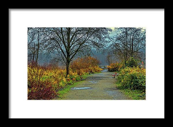 Alex Lyubar Framed Print featuring the photograph Foggy morning at the park by Alex Lyubar