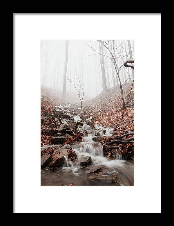 Foggy Framed Print featuring the photograph Foggy morning in a deciduous forest by Vaclav Sonnek
