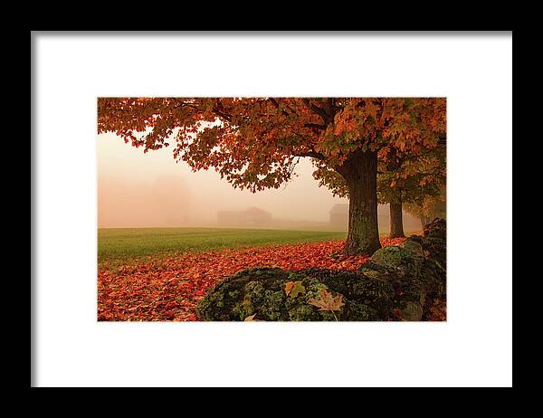 Foggy Morning In Autumn Framed Print featuring the photograph Foggy Morning in Autumn by Jeff Folger