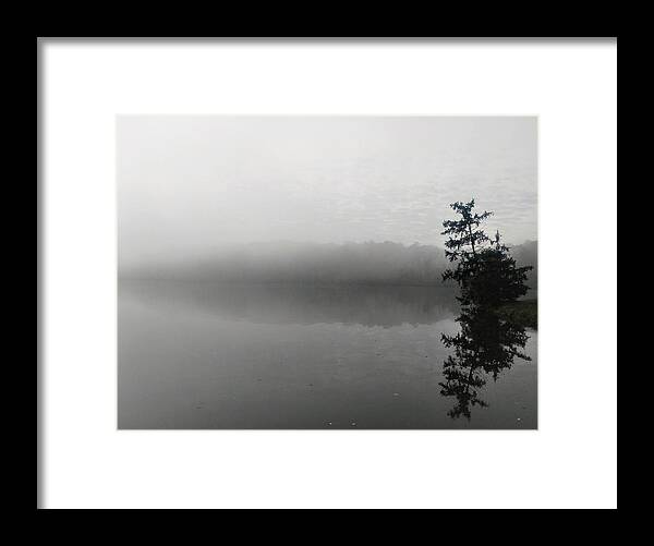  Framed Print featuring the photograph Foggy Morning Tree by Brad Nellis