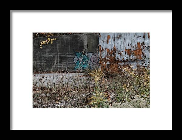 Urban Framed Print featuring the photograph Foliage by Kreddible Trout