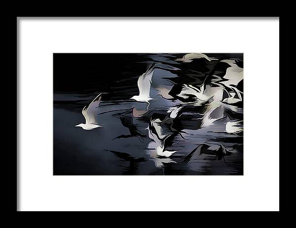 Bird Framed Print featuring the photograph Follow the Wind by Pete Rems