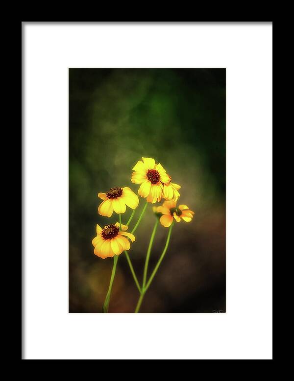 Arizona Framed Print featuring the photograph For Everything There is a Season by Rick Furmanek