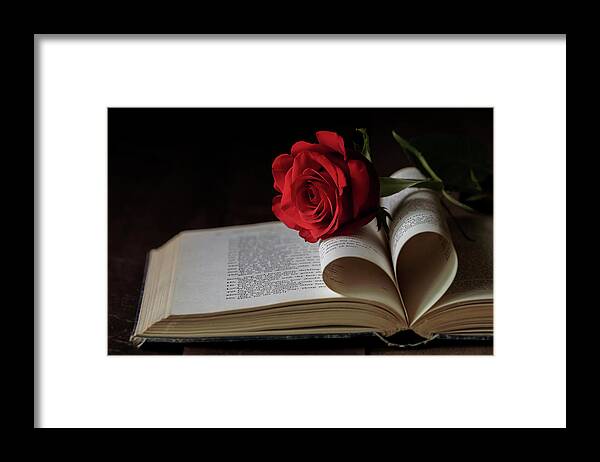 Rose Framed Print featuring the photograph For the Love of Reading by Holly Ross