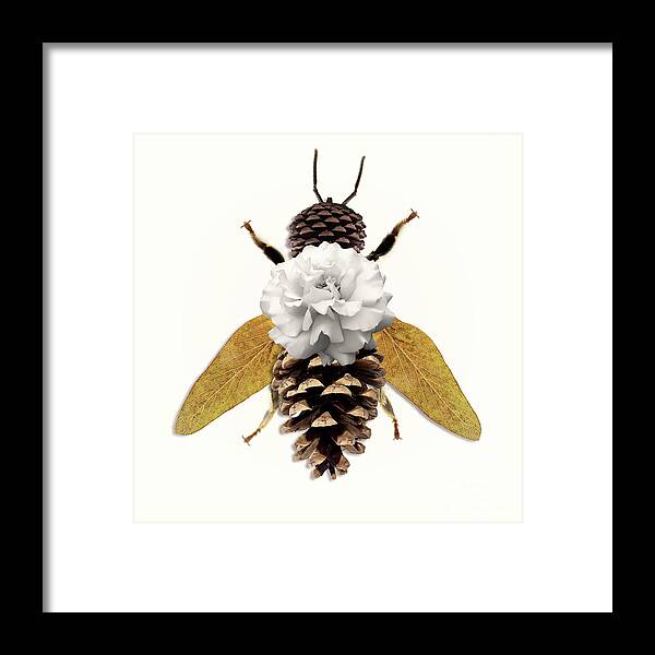 Bee Framed Print featuring the painting Forest Bee by Mindy Sommers