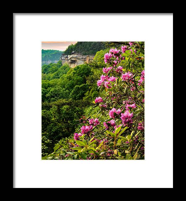 River Framed Print featuring the photograph Forest Blooms by Lisa Lambert-Shank