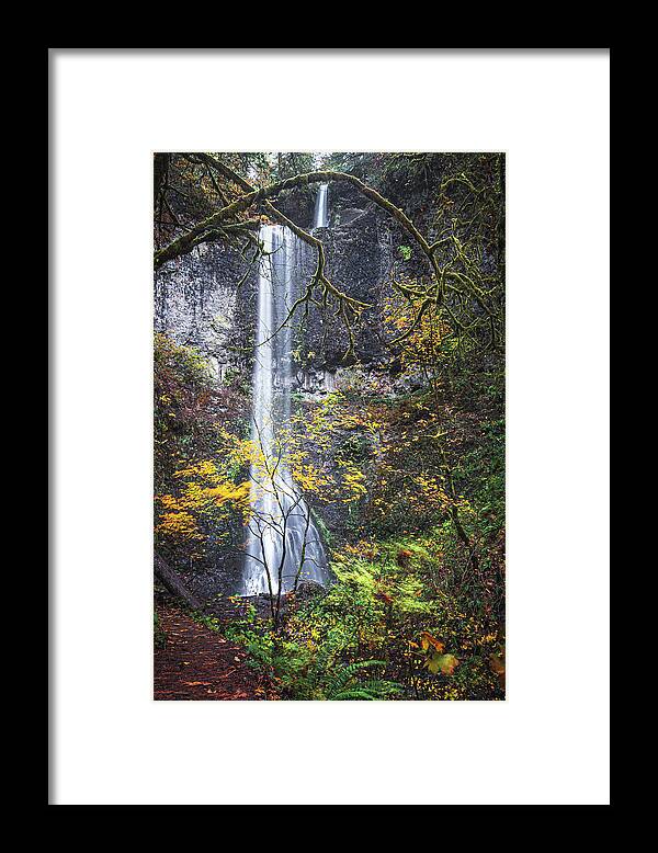 Forest Framed Print featuring the photograph Forest Falls by Ryan Weddle