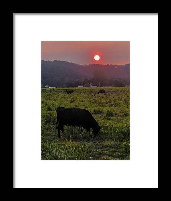 Forest Framed Print featuring the photograph Forest Fire Haze by Grey Coopre