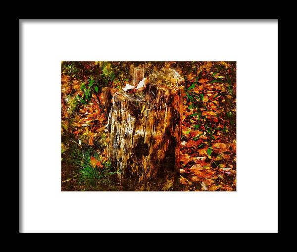 Stump Framed Print featuring the mixed media Forest Floor in Autumn by Christopher Reed