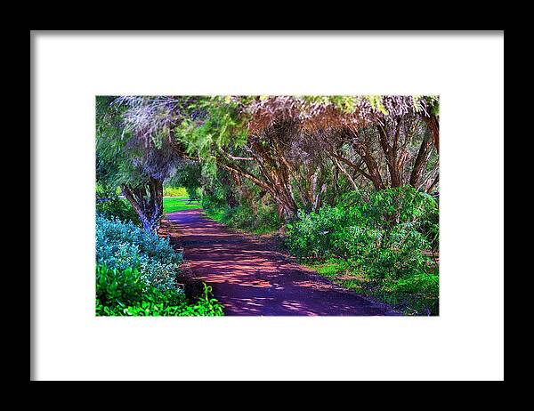 Australia Framed Print featuring the photograph Tree Walk by Jay Heifetz