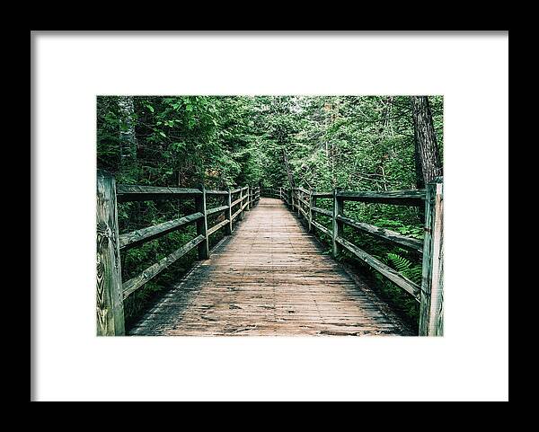 Forest Pathway Framed Print featuring the photograph Forest Pathway by Dan Sproul