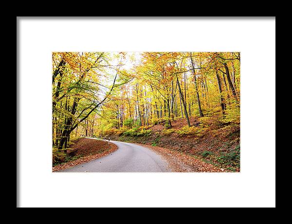 Landscape Framed Print featuring the photograph Forest serpentine road in autumn by Viktor Wallon-Hars