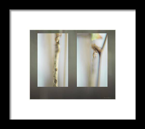 Tree Framed Print featuring the photograph Forest Stems by Karen Rispin