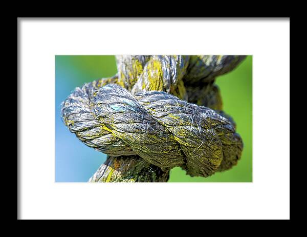 Aged Framed Print featuring the photograph Forever I'm With You by Christi Kraft
